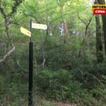 Herceg Novi priprema plan zaštite Savinske Dubrave i Plave špilje