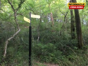 Herceg Novi priprema plan zaštite Savinske Dubrave i Plave špilje