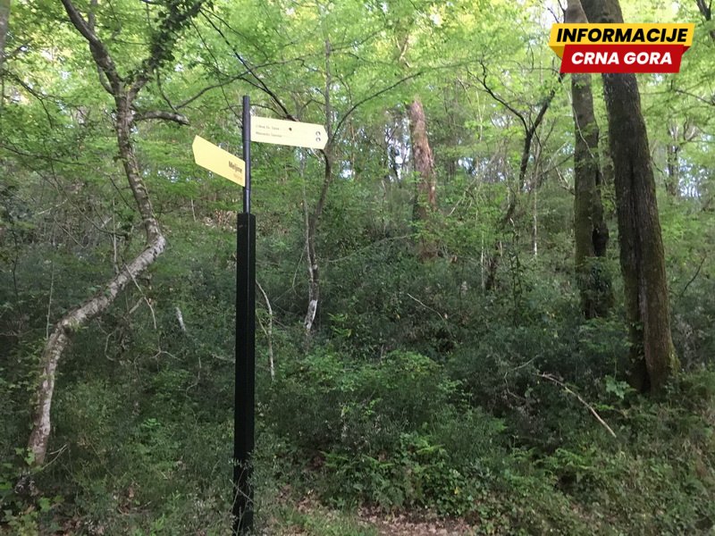 Herceg Novi priprema plan zaštite Savinske Dubrave i Plave špilje