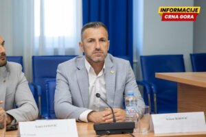 Šehović: Odžiću i Evropskom savezu Mladić ne smeta kad je fotelja u pitanju