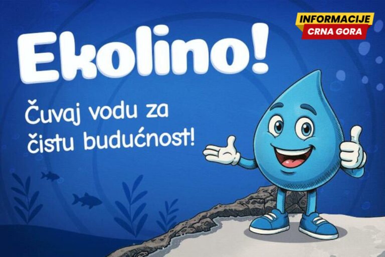 Društvo