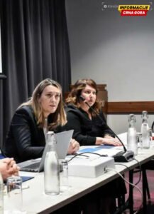 Potpredsjednica može, direktorka ne: Funkcionerka Ministarstva zdravlja ne smije dopunski raditi kao hirurg u KCCG-u