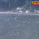 Ekološki incidenti na rijeci Lim: Ponovo se pojavile sumnjiva bijela tečnost i pjena