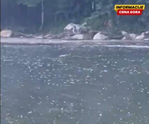 Ekološki incidenti na rijeci Lim: Ponovo se pojavile sumnjiva bijela tečnost i pjena