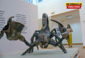 Argumentovano čitanje umjetničkih pojava