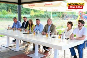 Vlast se ne dobija, nego zarađuje na terenu: Partije u kampanji uoči izborne godine