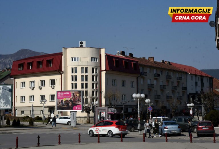 Vasilije i Nemanja Gojković nijesu uhapšeni, pušteni su kući: Verbalno napali Delića?