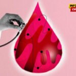 Menstrualna krv kao izvor podataka o zdravlju žena