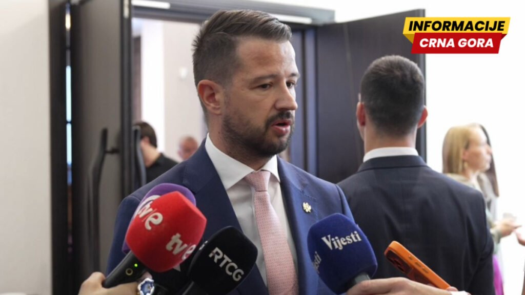 Milatović traži raspravu o mrežama za mlađe od 16 godina