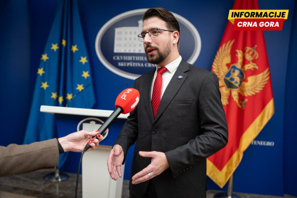 Miličić: Mandić ove sedmice ne putuje u Brisel