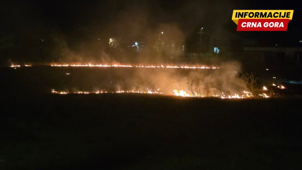 Požar kod stadiona Kom na Zlatici, vatrogasci na terenu