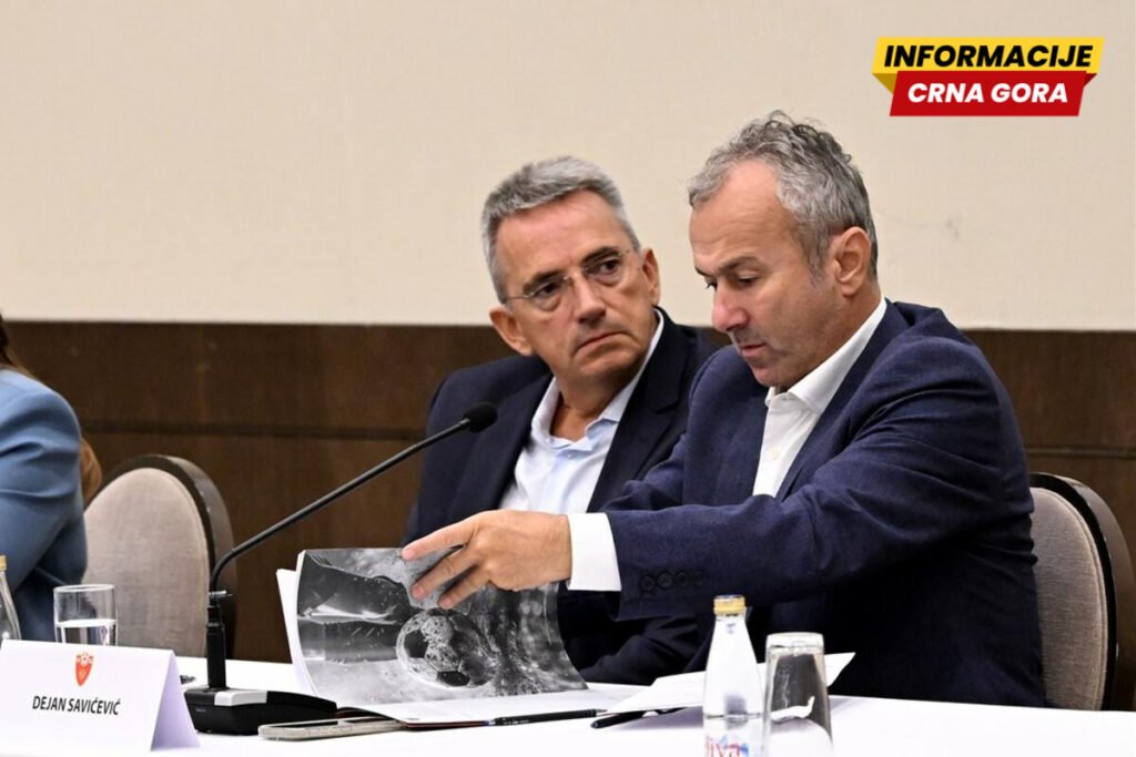Savićević: Nisam protiv VAR-a, ali FSCG nema para za njega