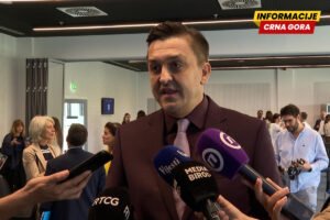 Vuković: Treba mi još dana za analizu „Euro modela”