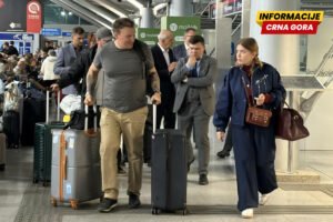 Mihail Zvinčuk, osnivač ruske informacione mreže „Ribar”, priveden je danas u Risnu