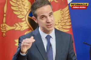 Poslanik Evropskog saveza Boris Mugoša izjavio je da Vlada nije u potpunosti iskoristila