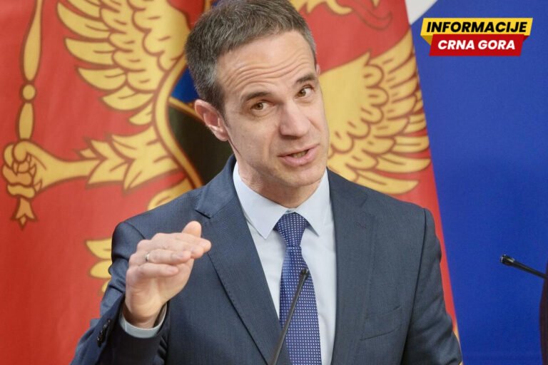 Poslanik Evropskog saveza Boris Mugoša izjavio je da Vlada nije u potpunosti iskoristila