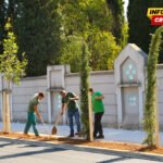 U Ulici 8. marta na Zabjelu u toku je sadnja 102 nova stabla